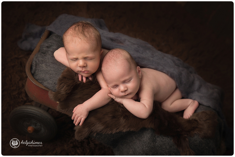 twins-newborn-photography-helgahimer-sudbury-wagon-flokati-fur