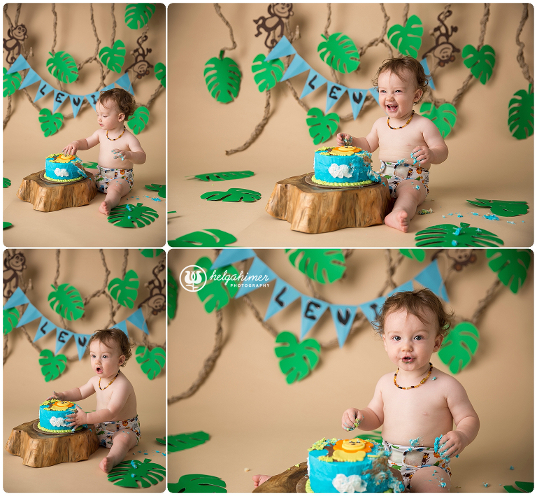 cake-smash-sudbury-infant-photographer-cakesmash-session-lion-leo-blue-oneyear-helgahimer-photography-baby-smashing-cake