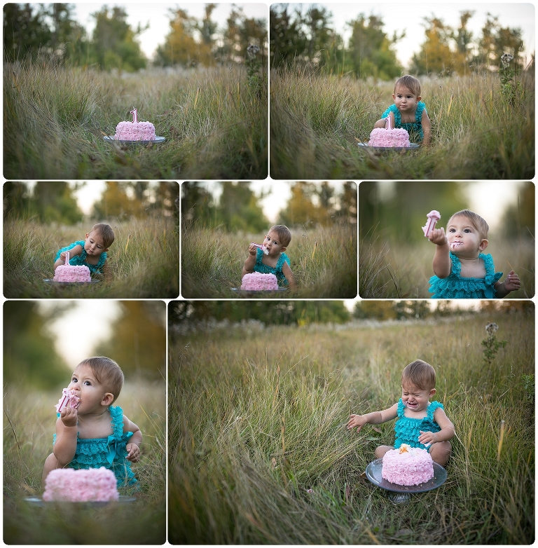 sunset cakesmash session in the tall grass. baby is wearing blue dress and she has a pink cake. She did cry in the end of the session. 