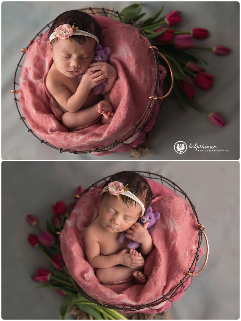 newborn baby laying in a basket holding a purple teddy pink tulips around the baby photos by helga himer photography of sudbury