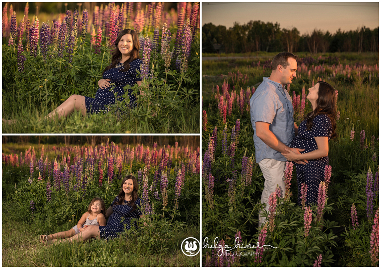 pink and purple Lupin flower-maternity-family-summer-sudbury-portrait-session